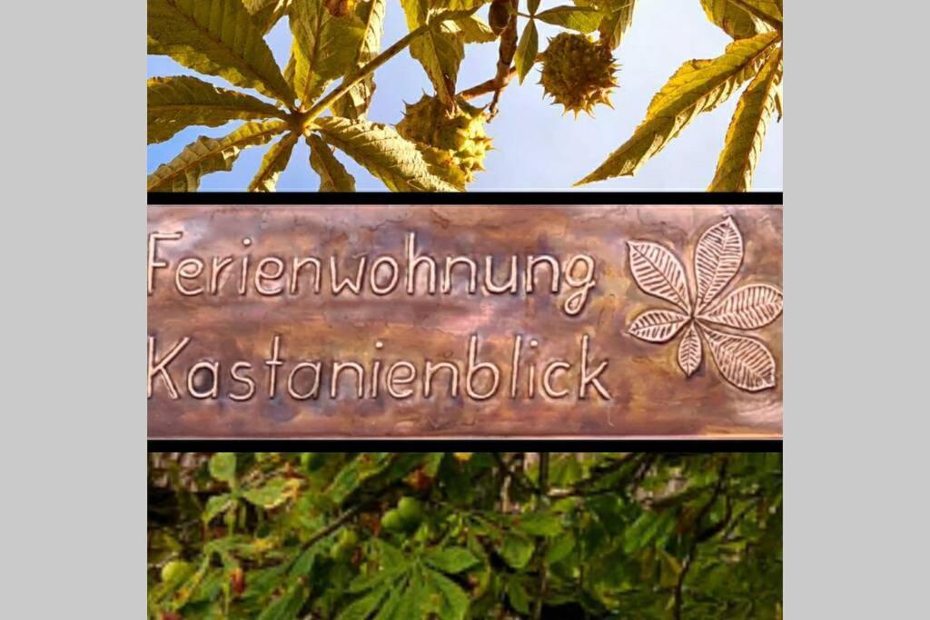 Kastanienblick Apartment Sankt Andreasberg Exterior foto